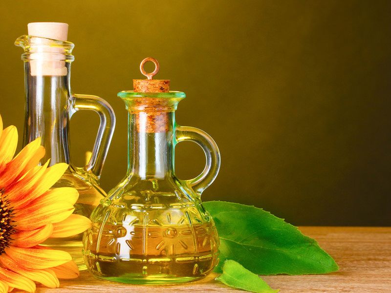 buy sunflower oil
